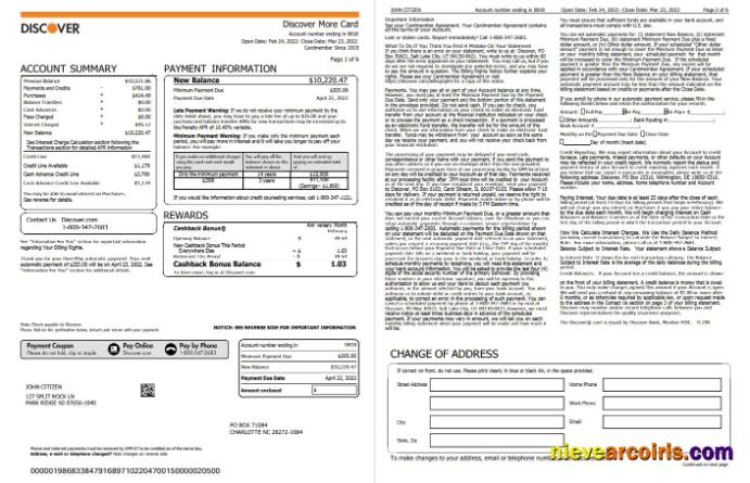 USA Discover credit card statement, Word and PDF, 6 pages
